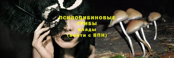 гашиш Каменногорск