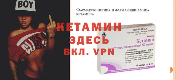 хмурый Каменка