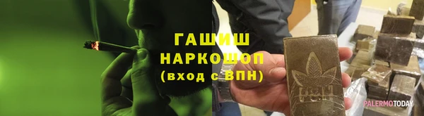 хмурый Каменка