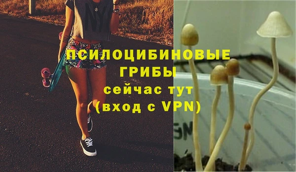 метадон Каменск-Шахтинский