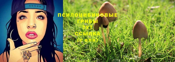 метадон Каменск-Шахтинский