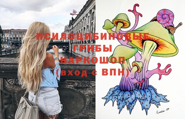 метадон Каменск-Шахтинский
