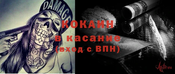 хмурый Каменка