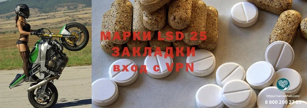 хмурый Каменка