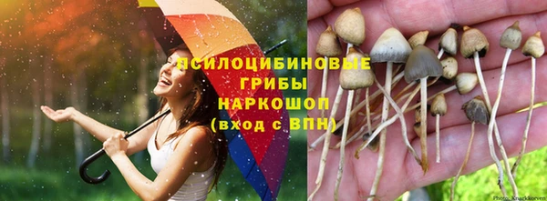 метадон Каменск-Шахтинский
