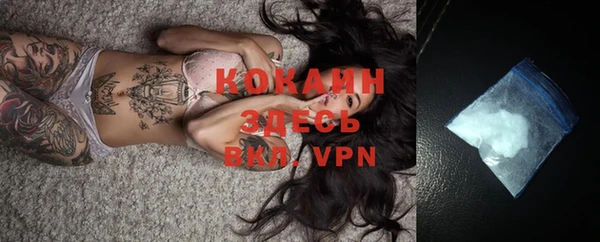 хмурый Каменка