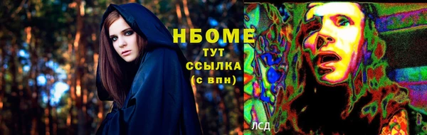 хмурый Каменка