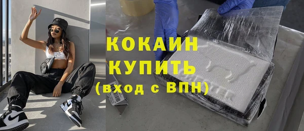хмурый Каменка